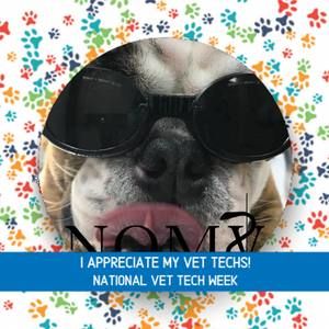 Meet your Posher, Kristen